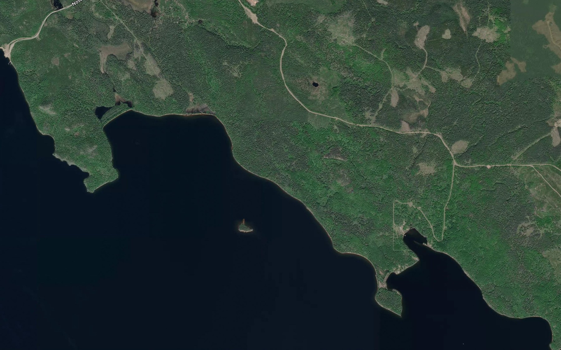Satellite map of the Wilkinson Bay