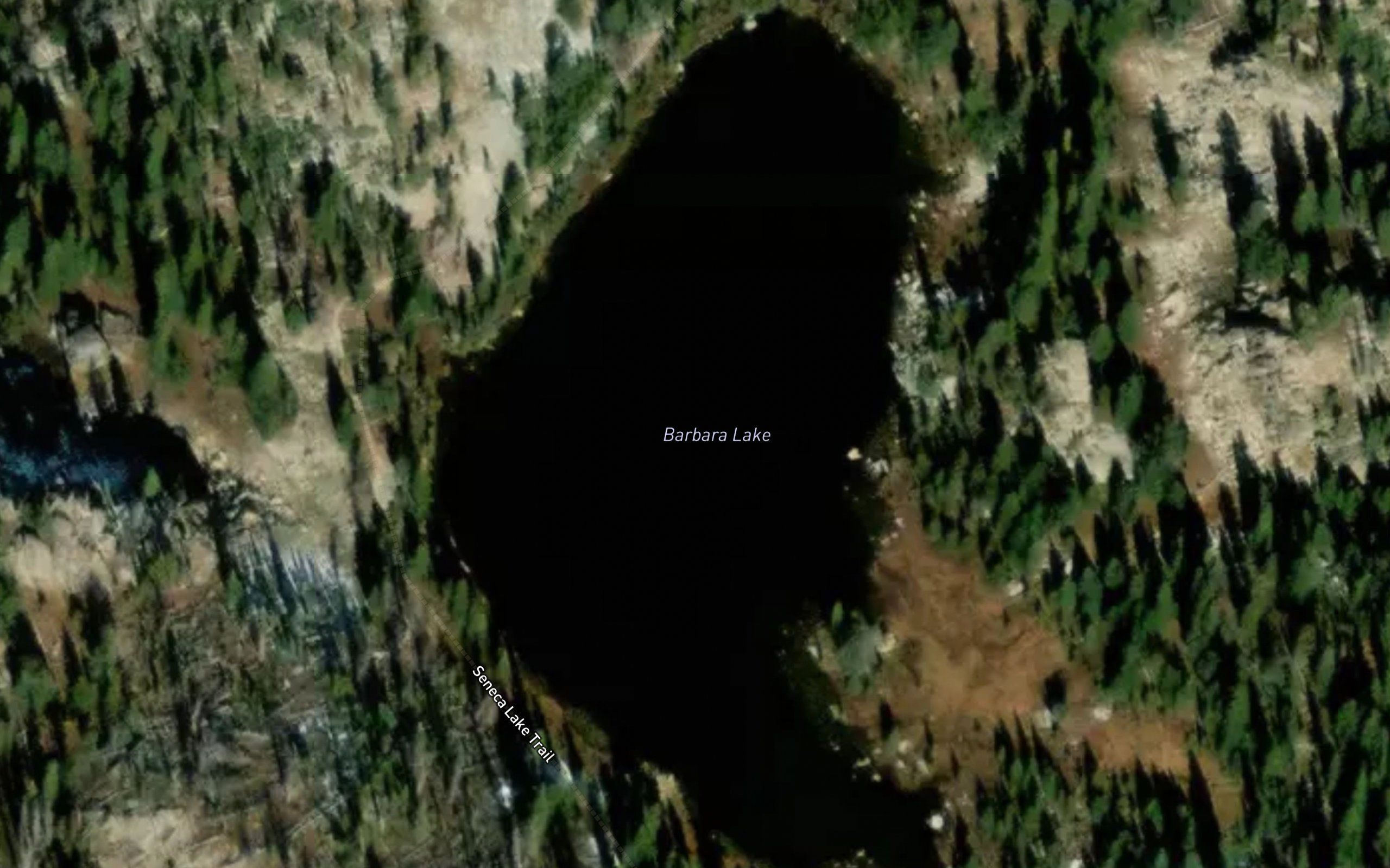 Barbara Lake