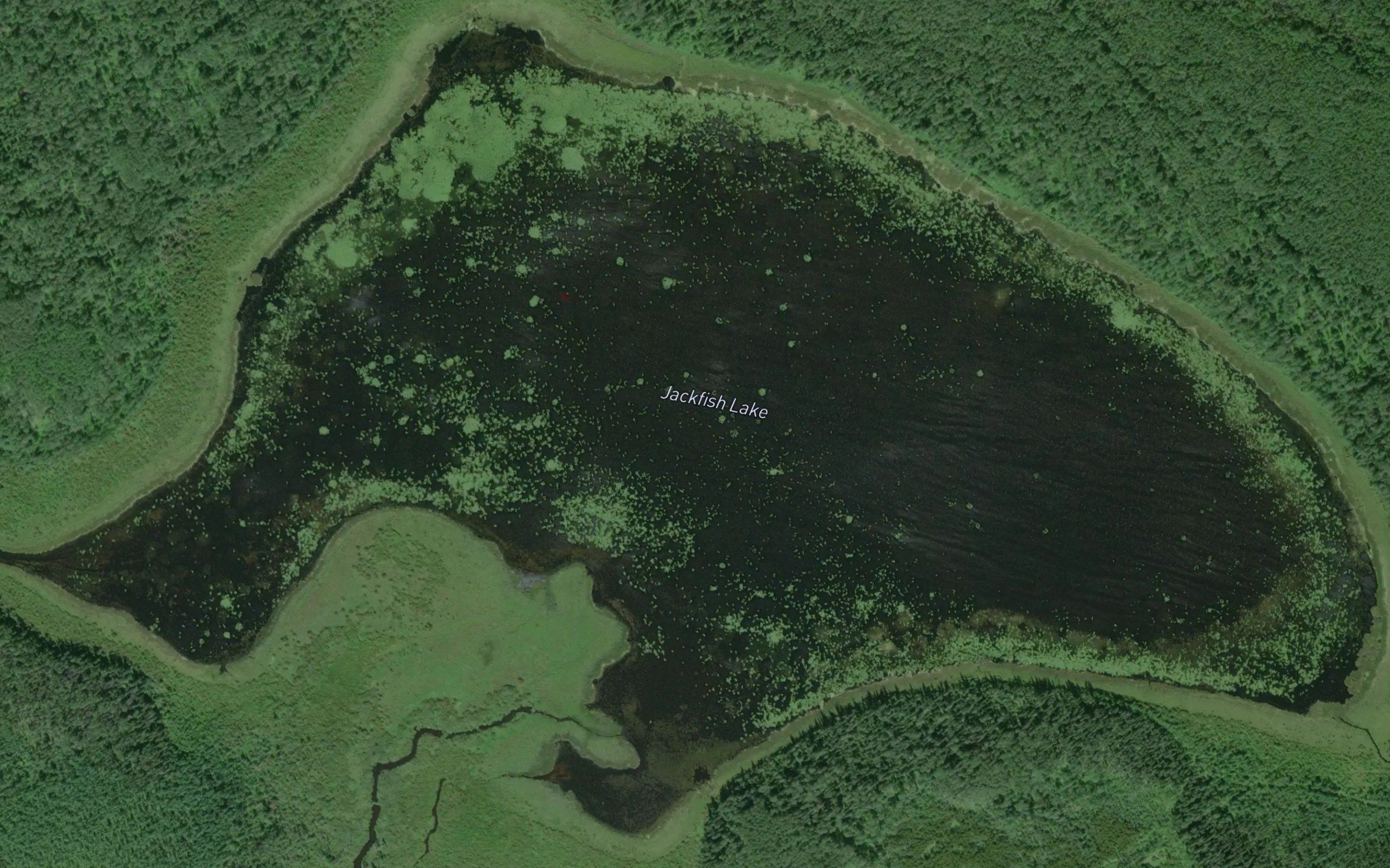 Jackfish Lake