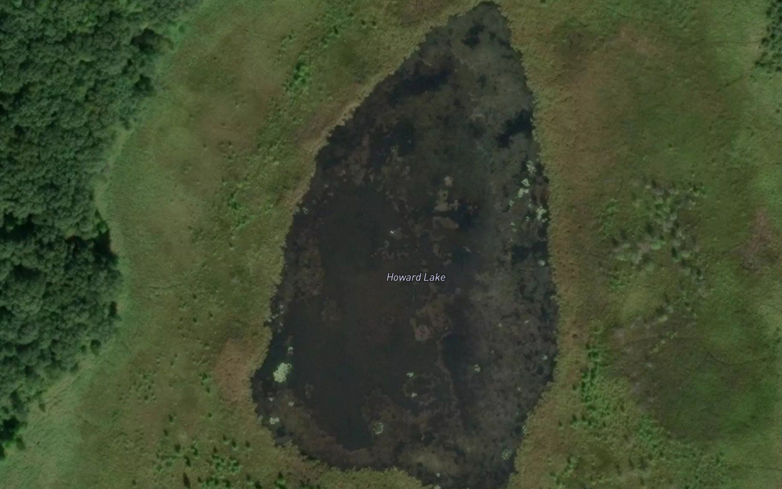 Howard Lake