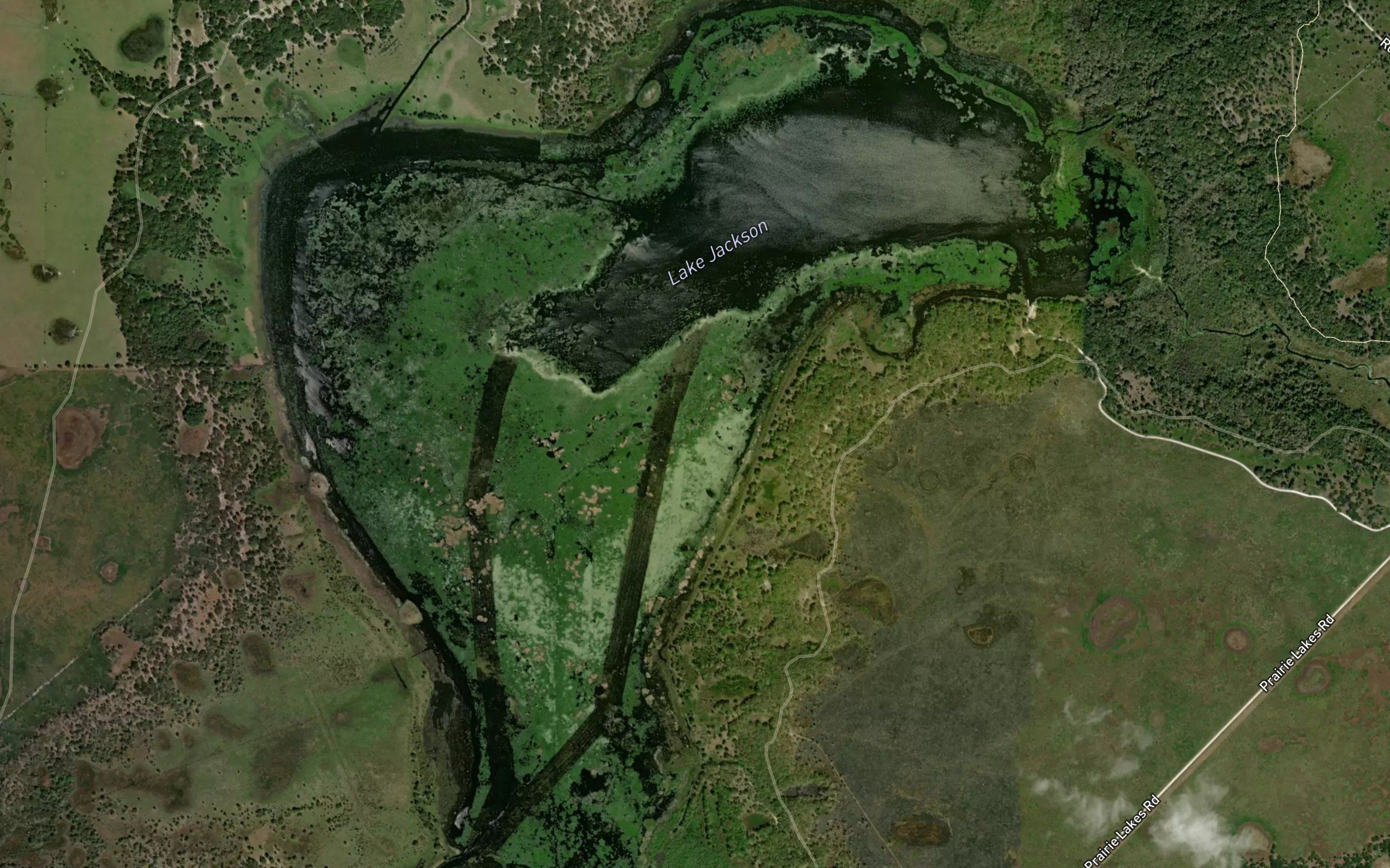 Lake Jackson