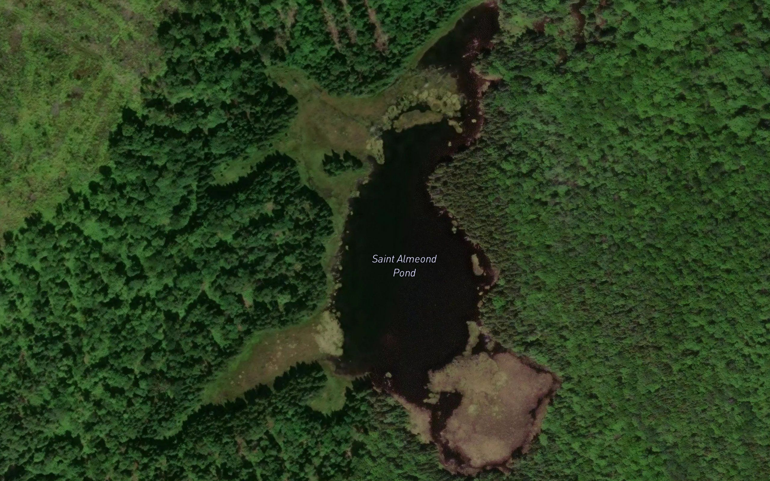 Saint Almond Pond