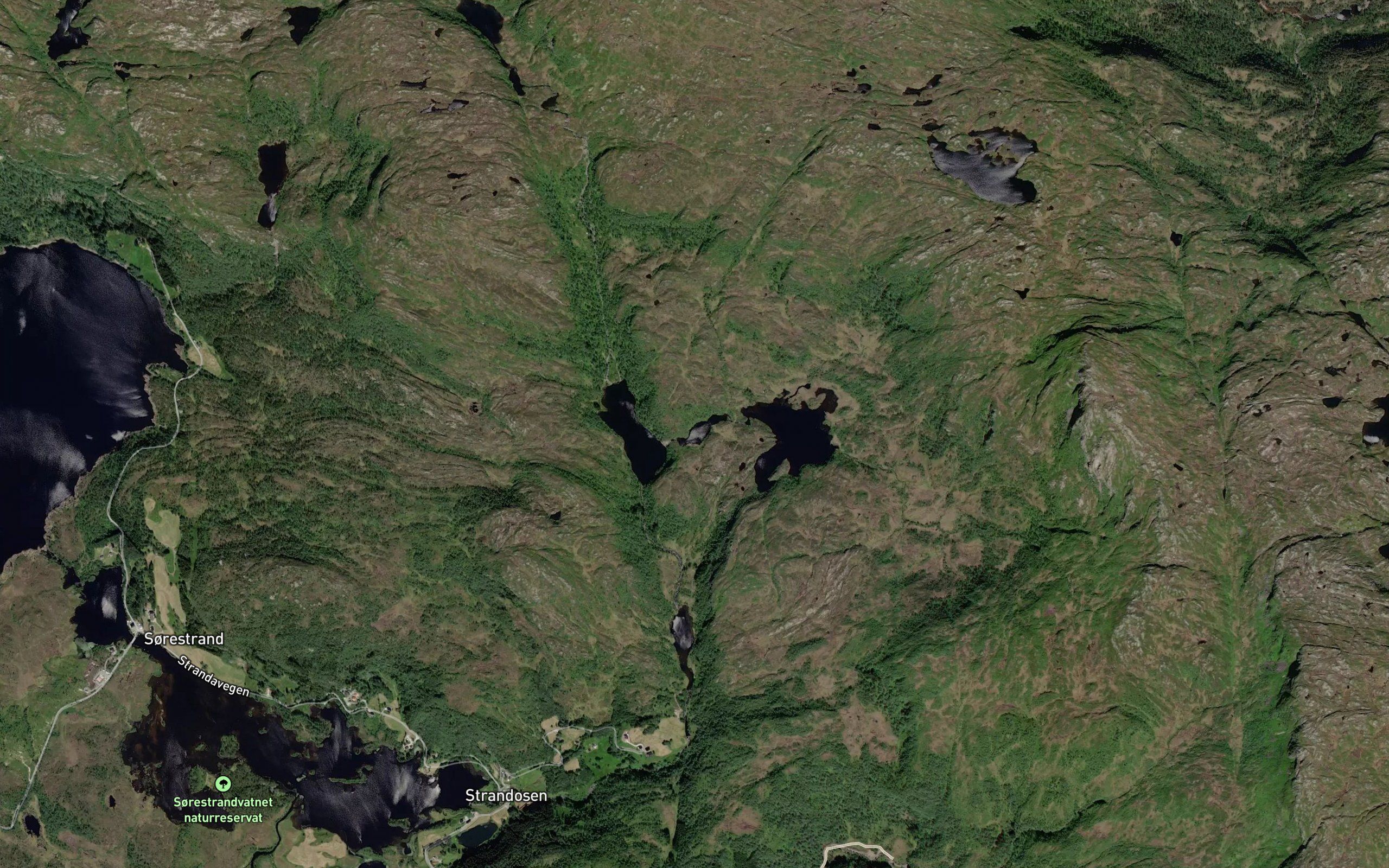 Vetlenykkstjorna