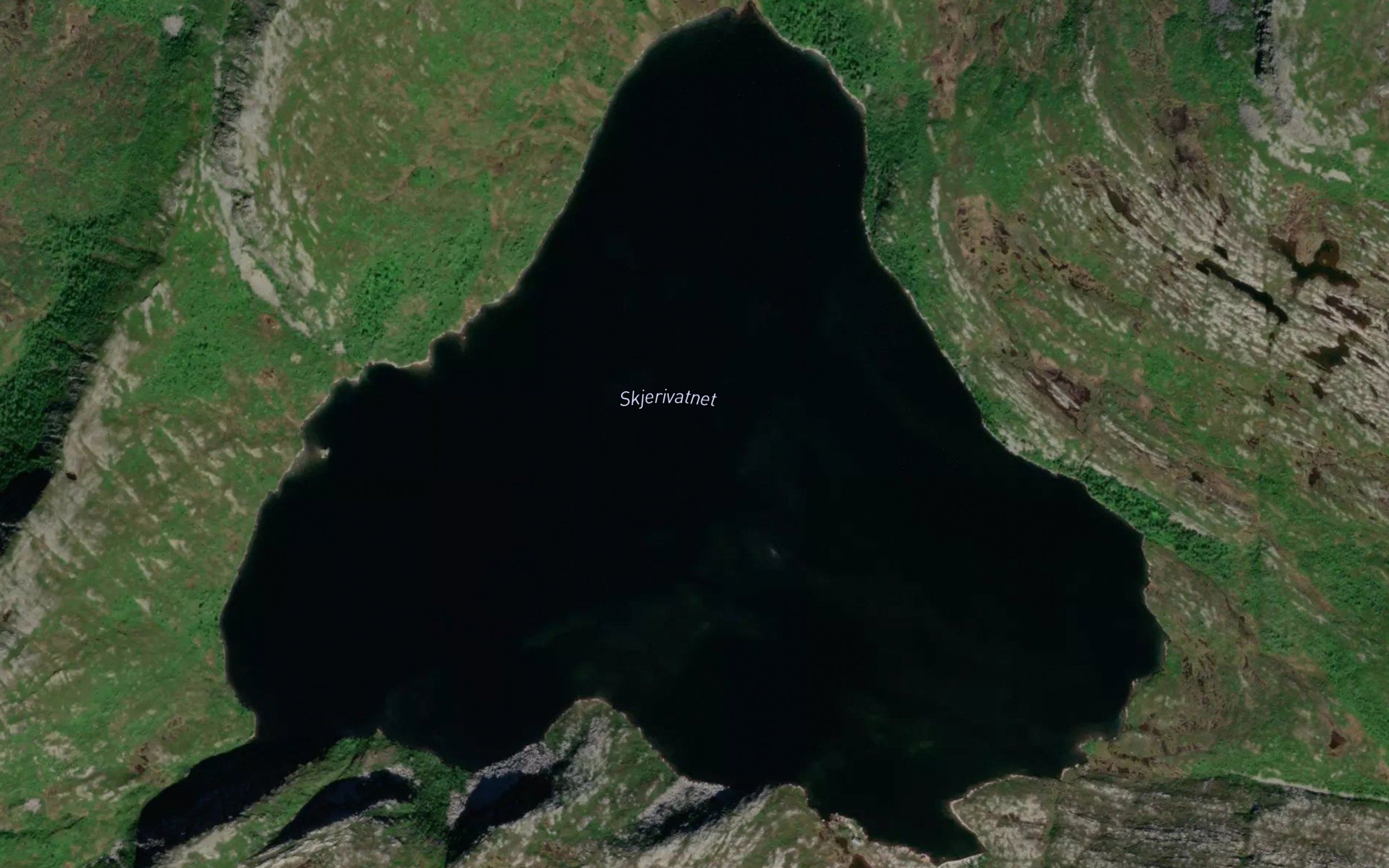 Skjerivatnet