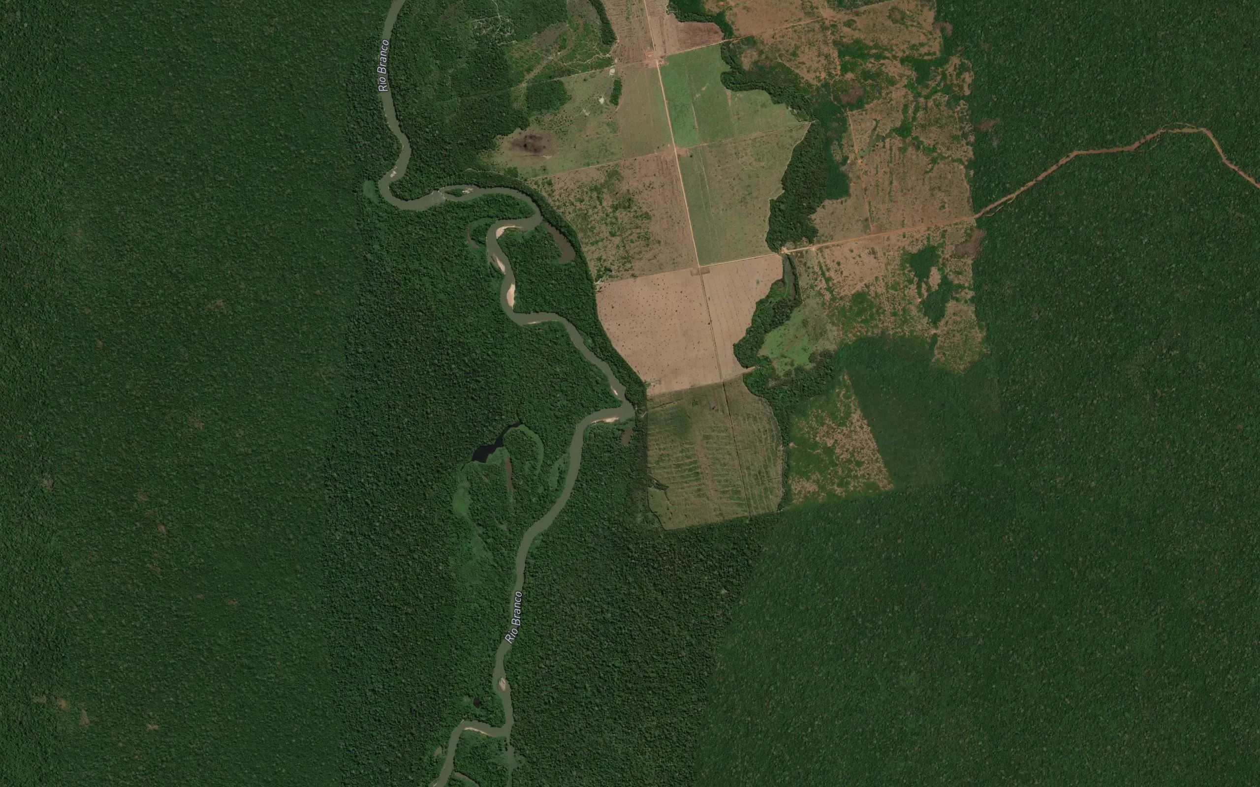 Igarape Campo da Mangueira