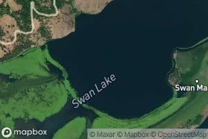 Swan Lake