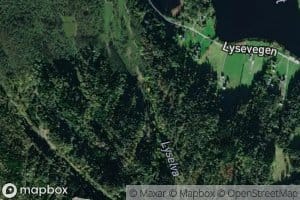 Lyselvi