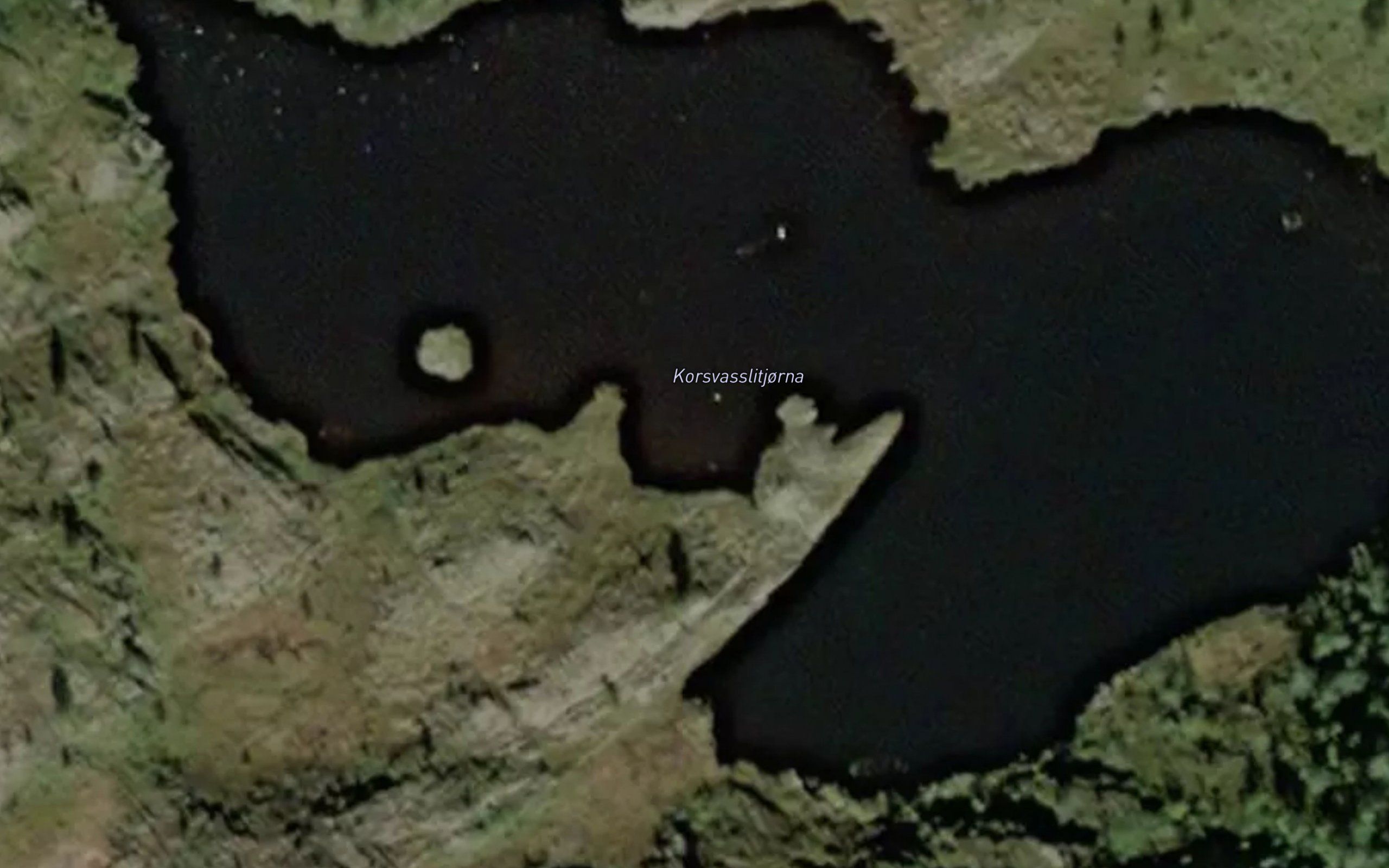 Korsvasslitjorna