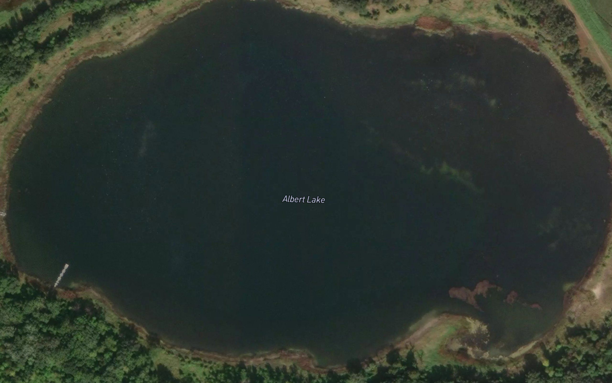 Albert Lake