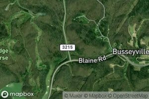 Horse Picture Branch