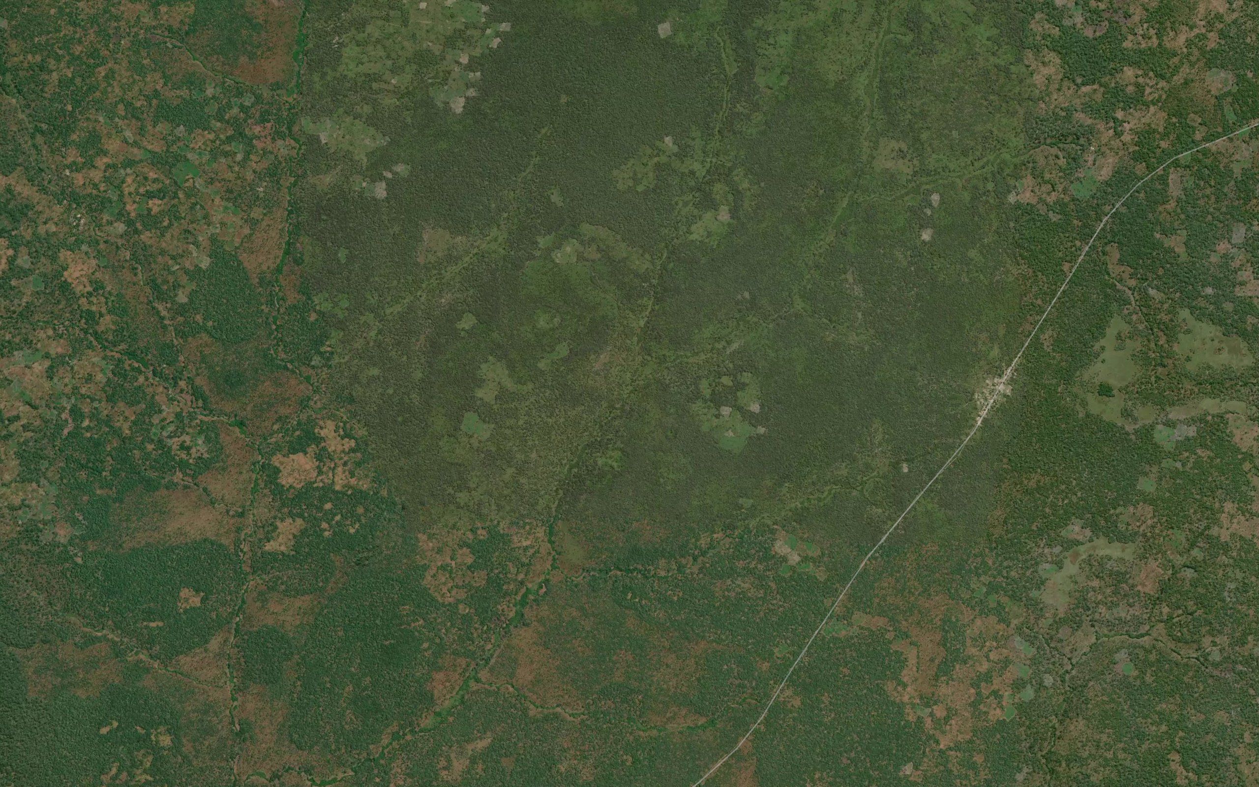 Yanga