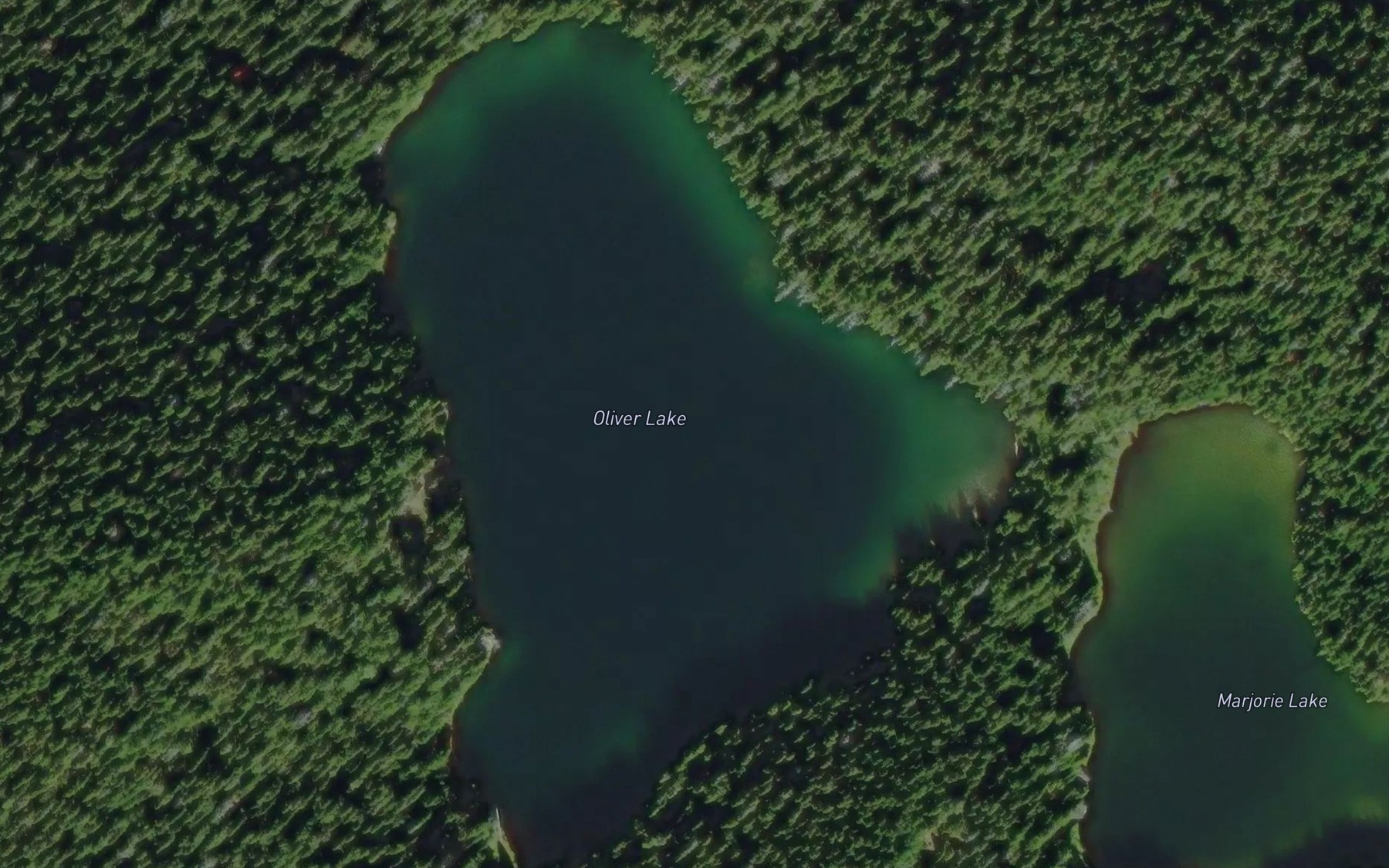 Satellite map of the Oliver Lake
