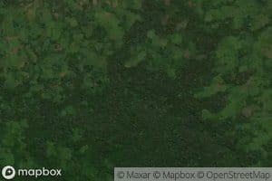 Mvudi