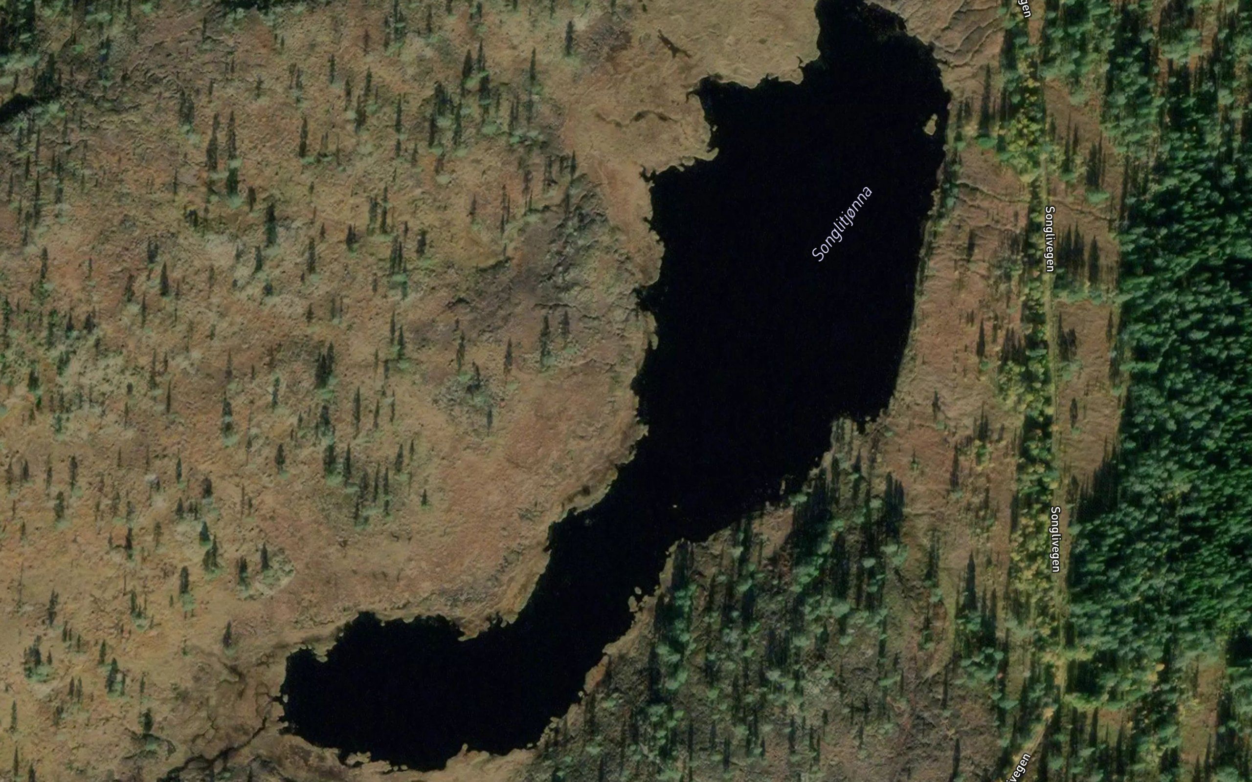 Songlitjorna