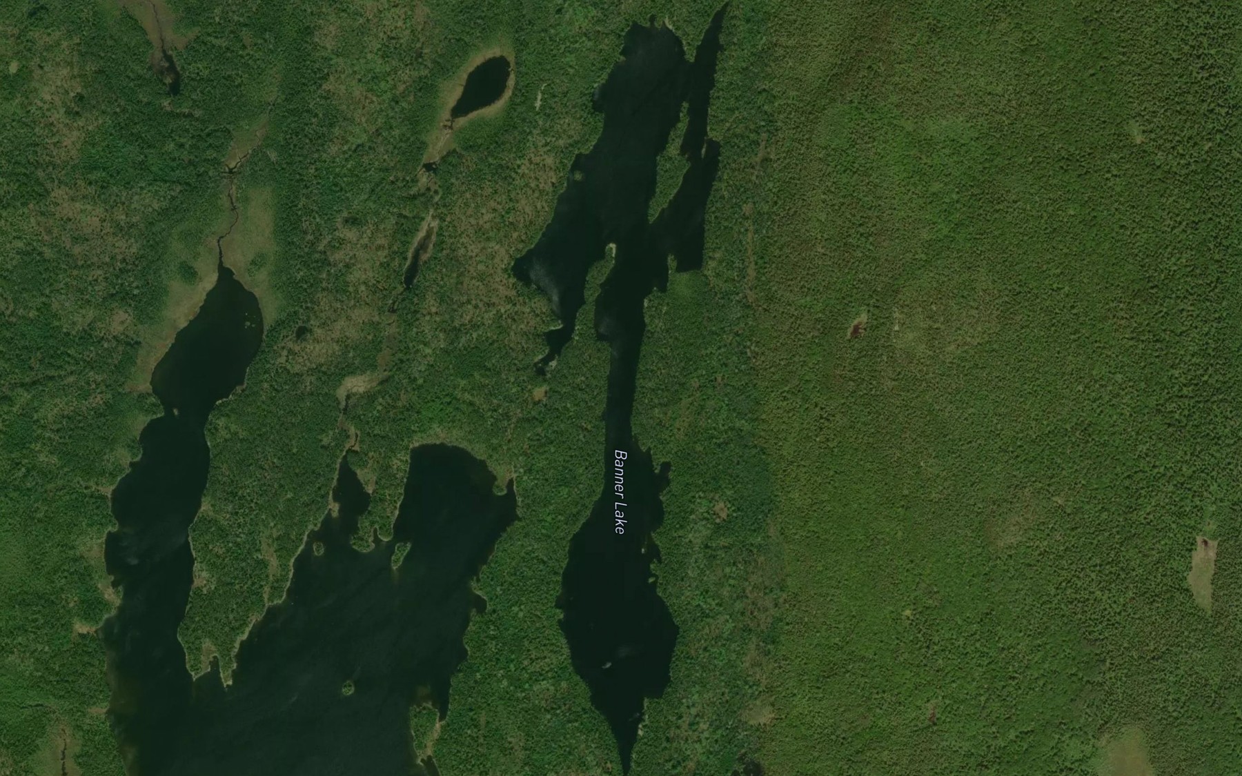 Satellite map of the Banner Lake