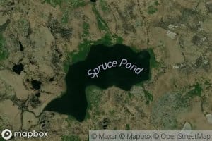 Spruce Pond