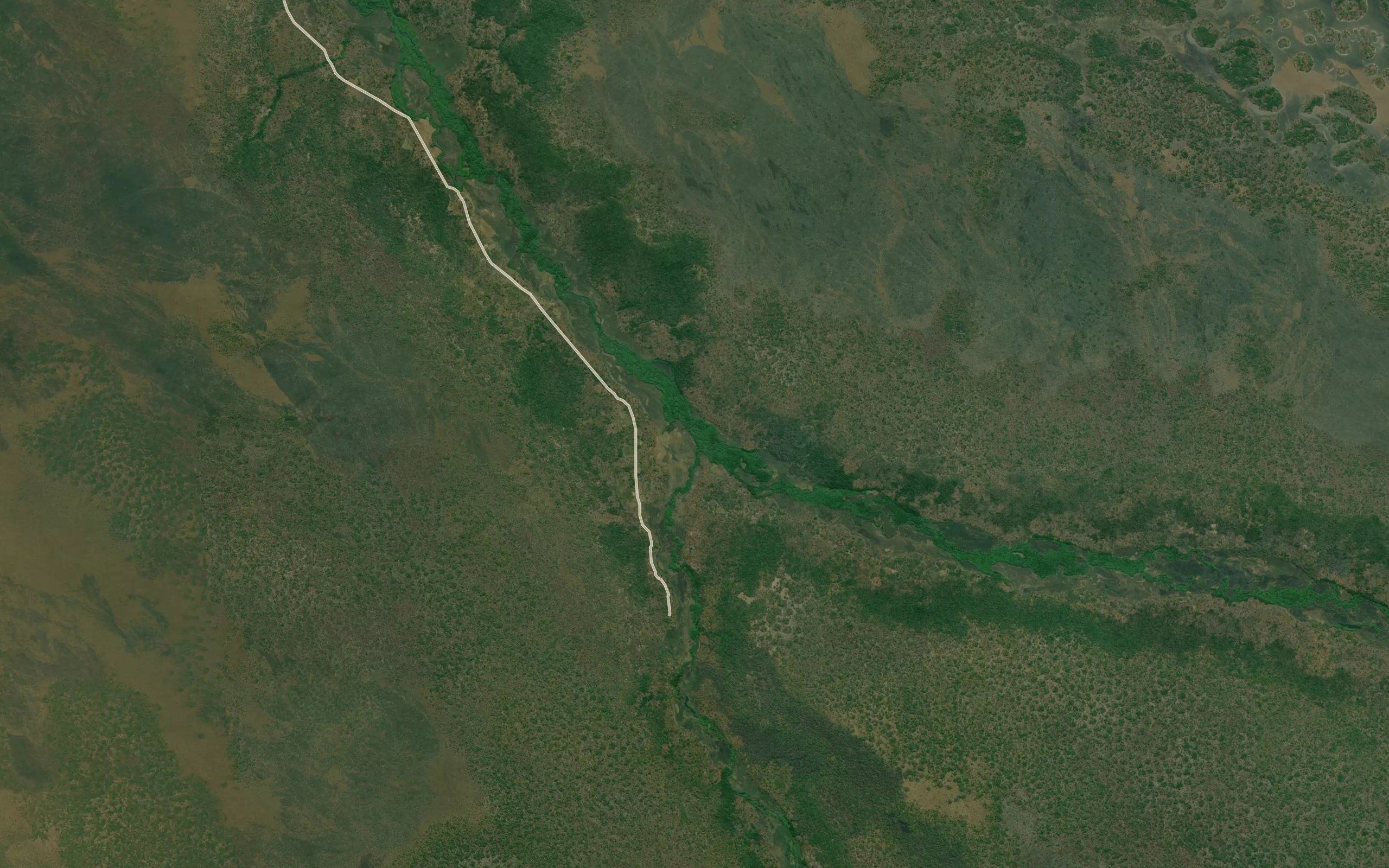 Munua