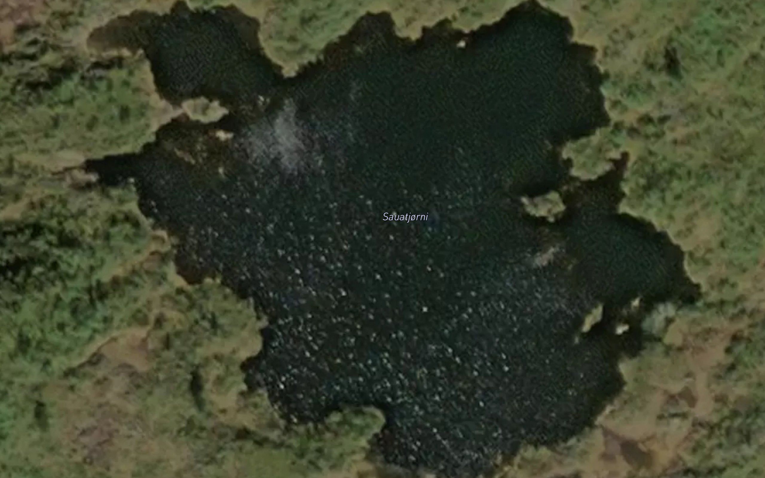 Sauatjorni