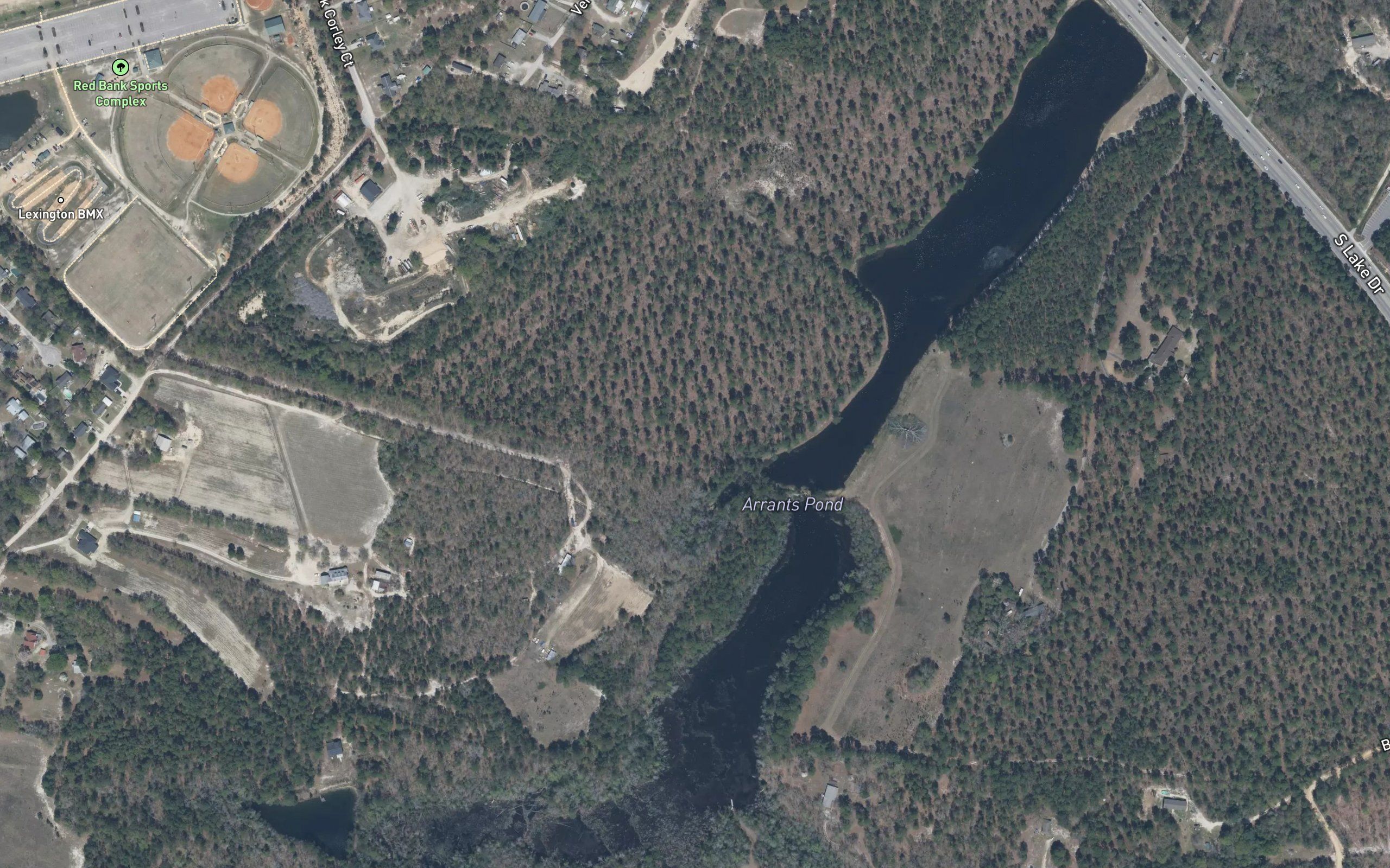 Arrants Pond