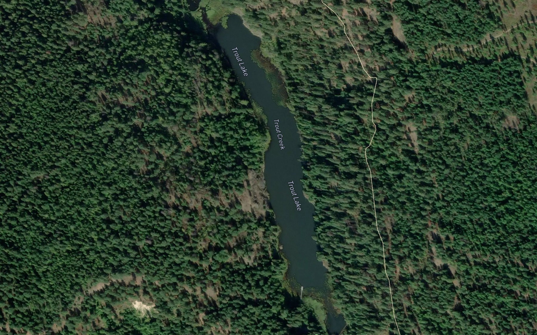 Satellite map of the Trout Lake