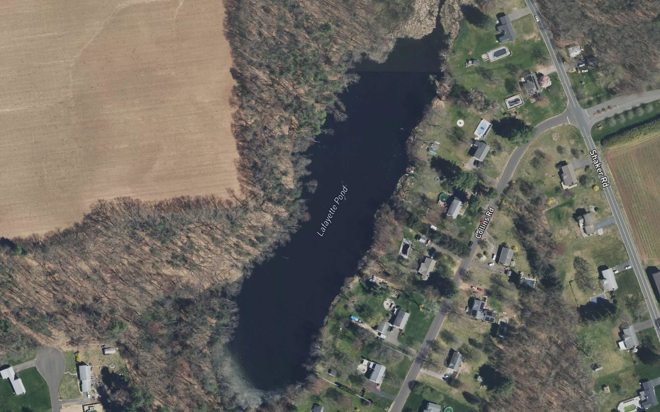 Lafayette Pond