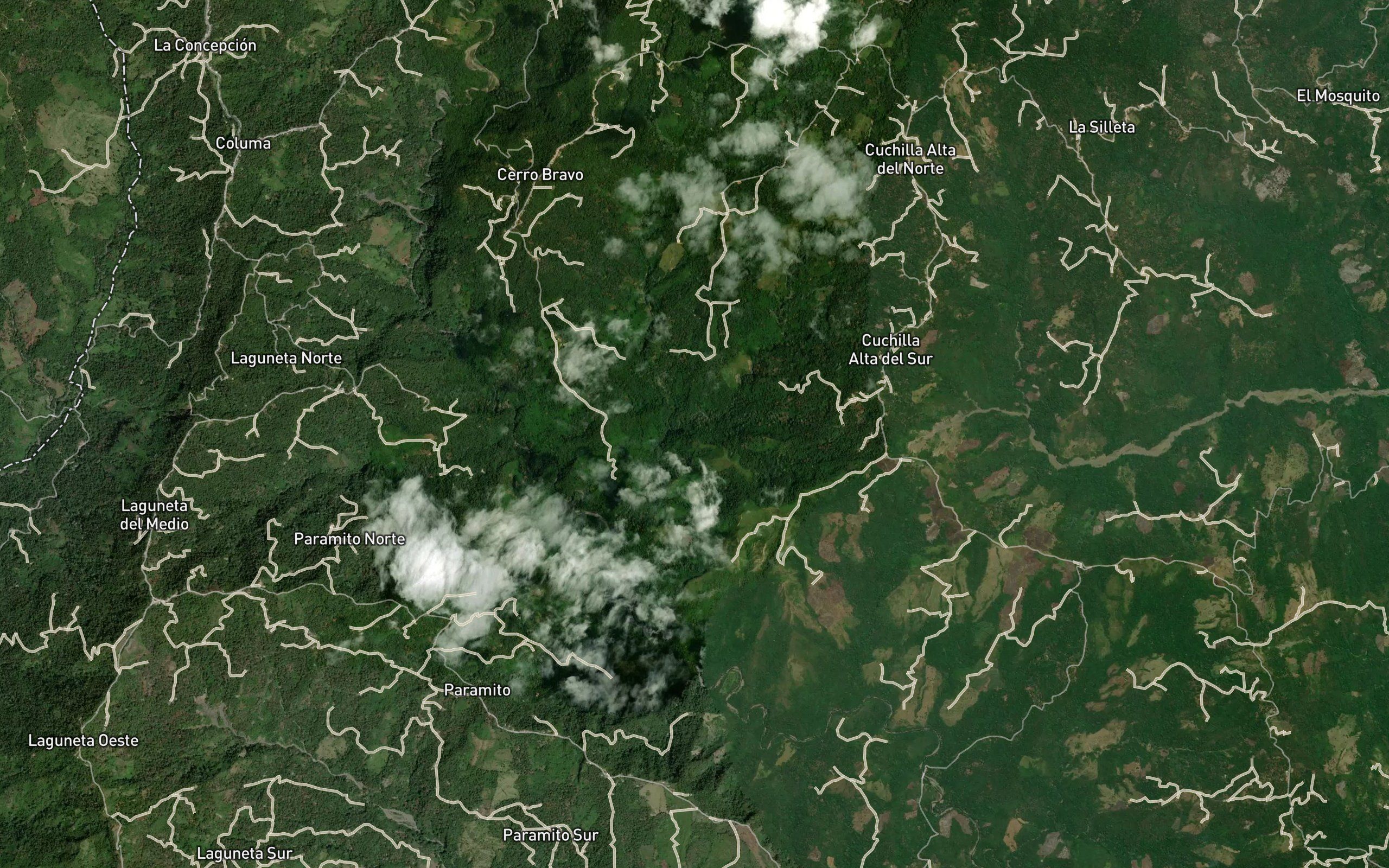 Quebrada Cuchilla Alta