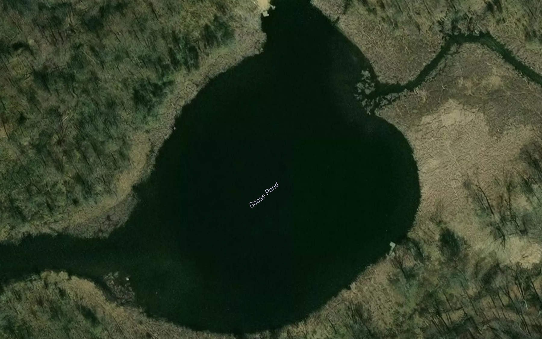 Satellite map of the Goose Pond