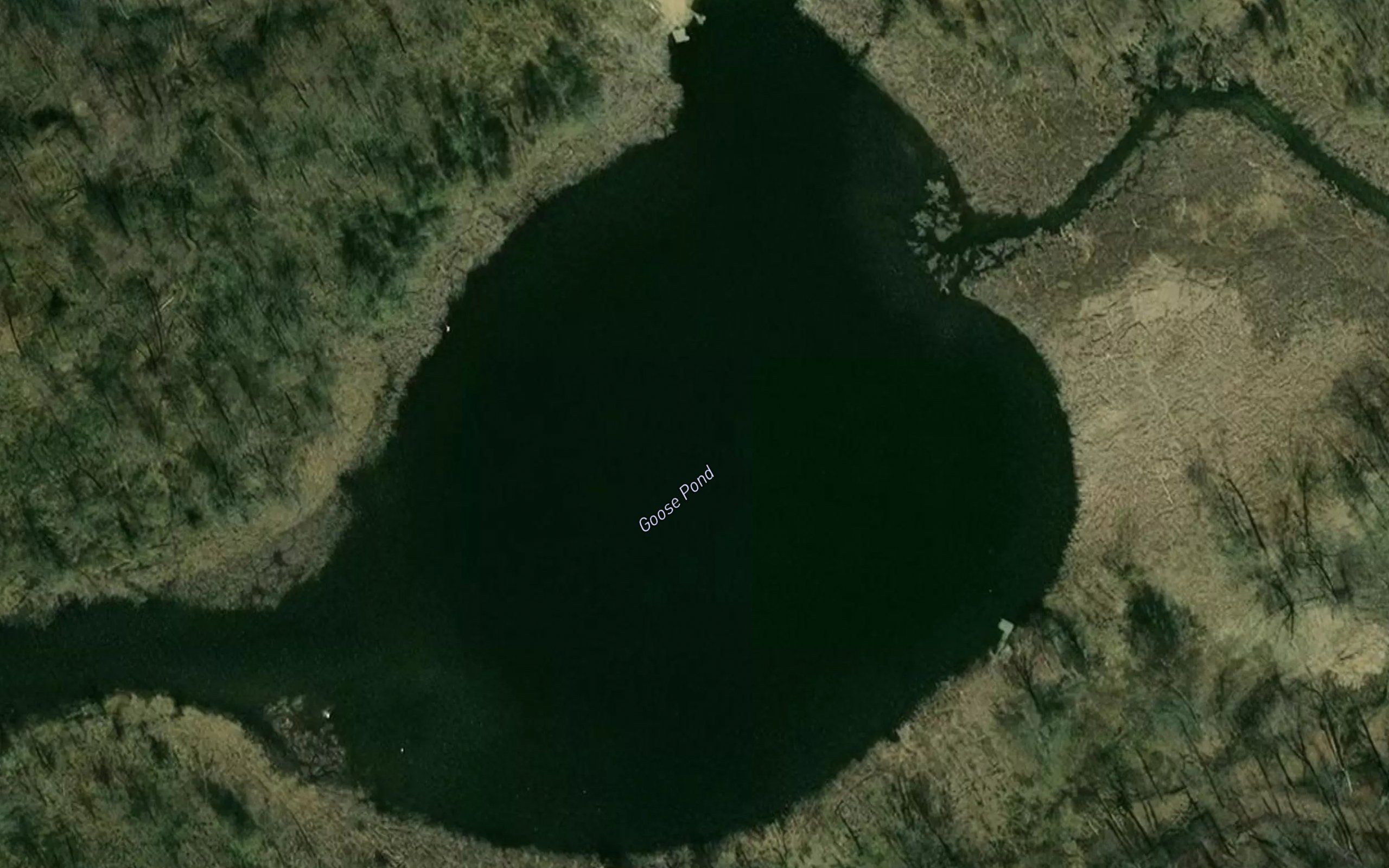 Goose Pond