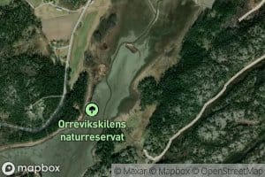 Orrevikskil