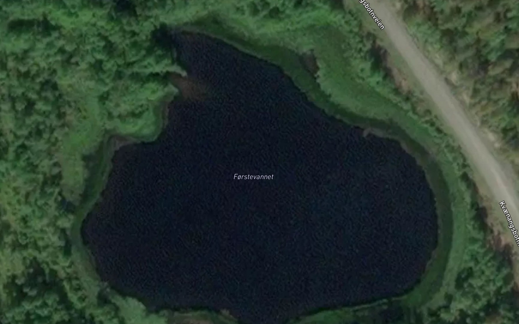Satellite map of the Forstevannet