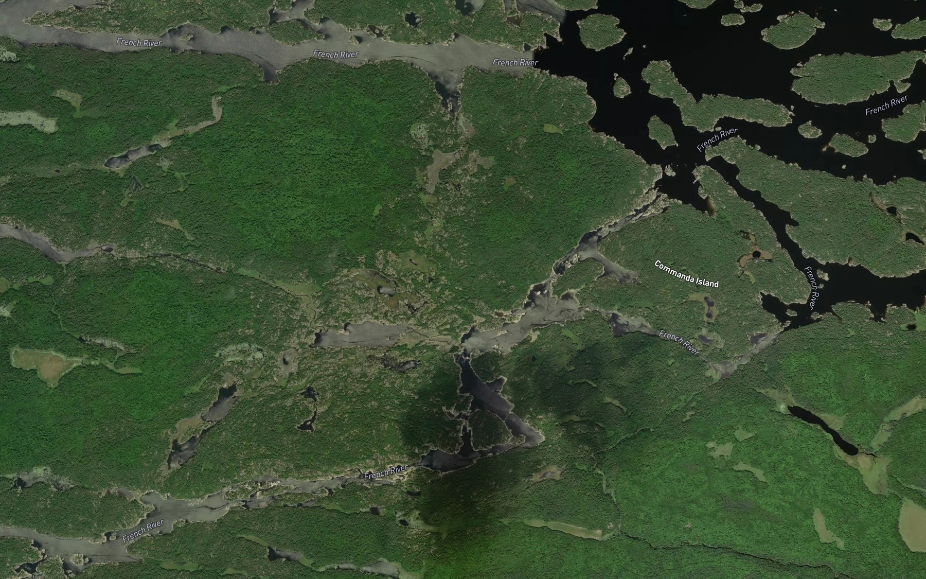 Satellite map of the Double Rapids