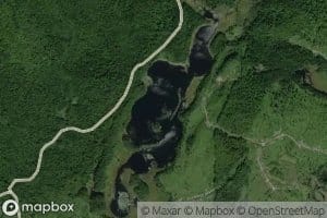 Lac McDougal