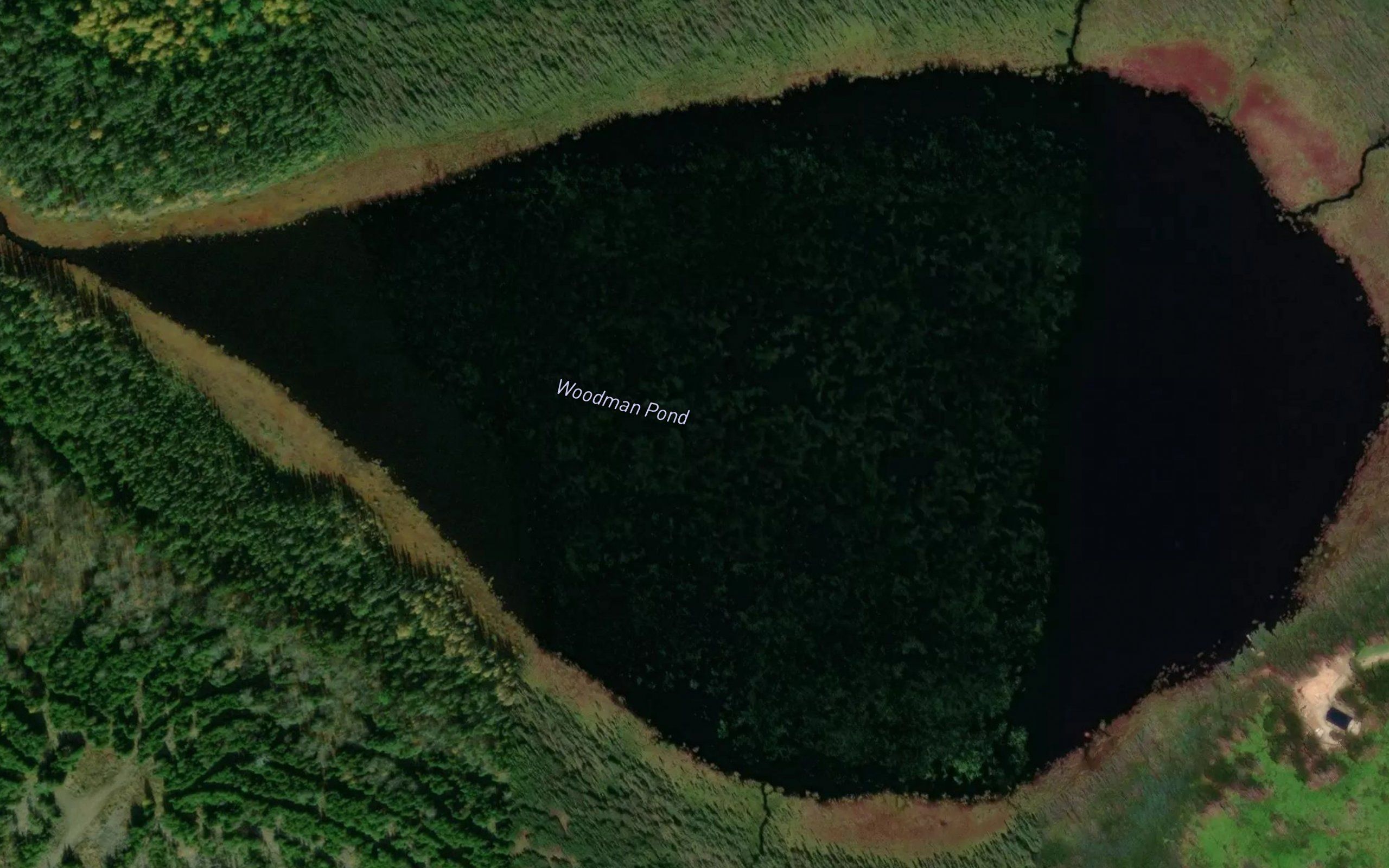 Woodman Pond