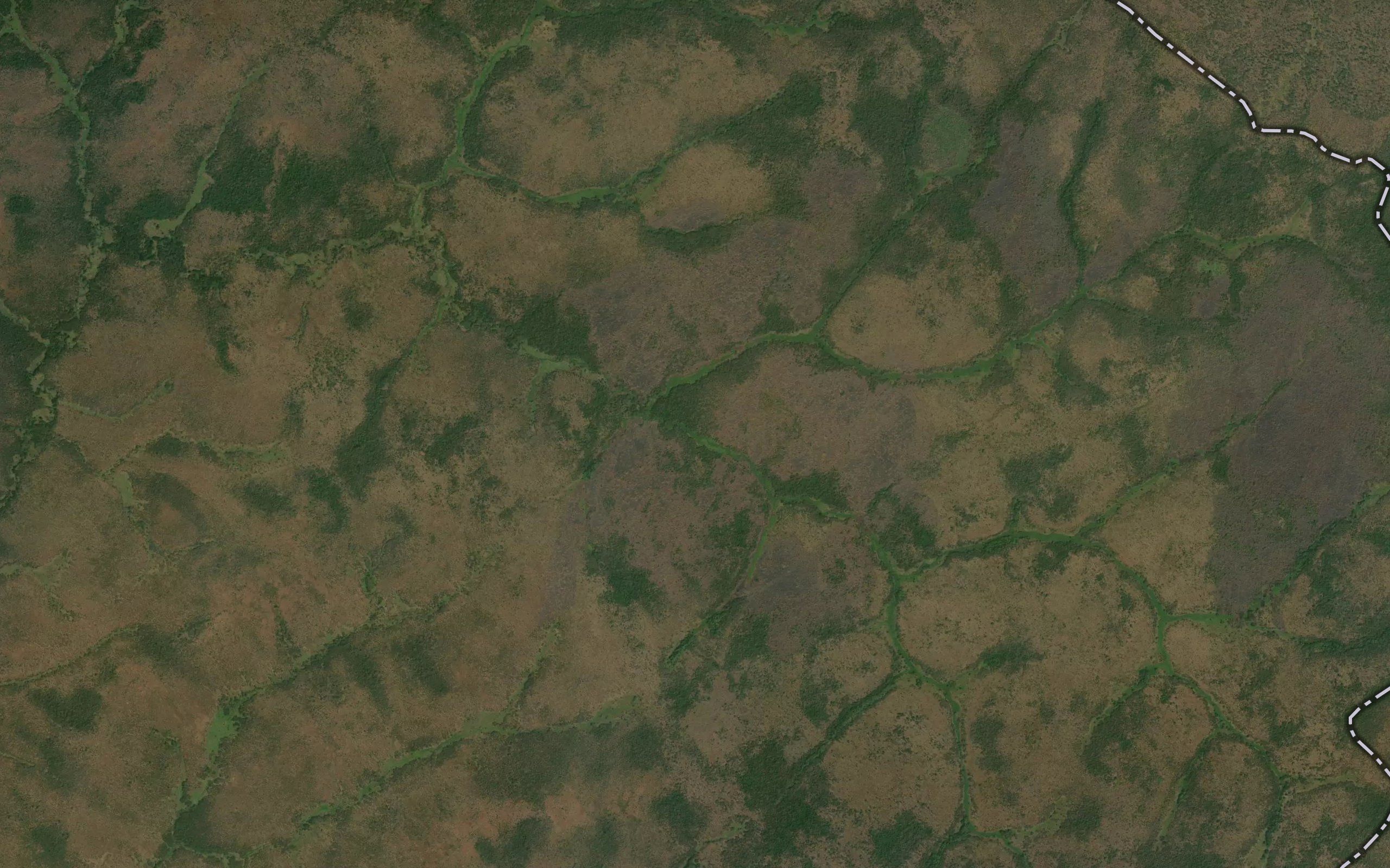 Kaswa