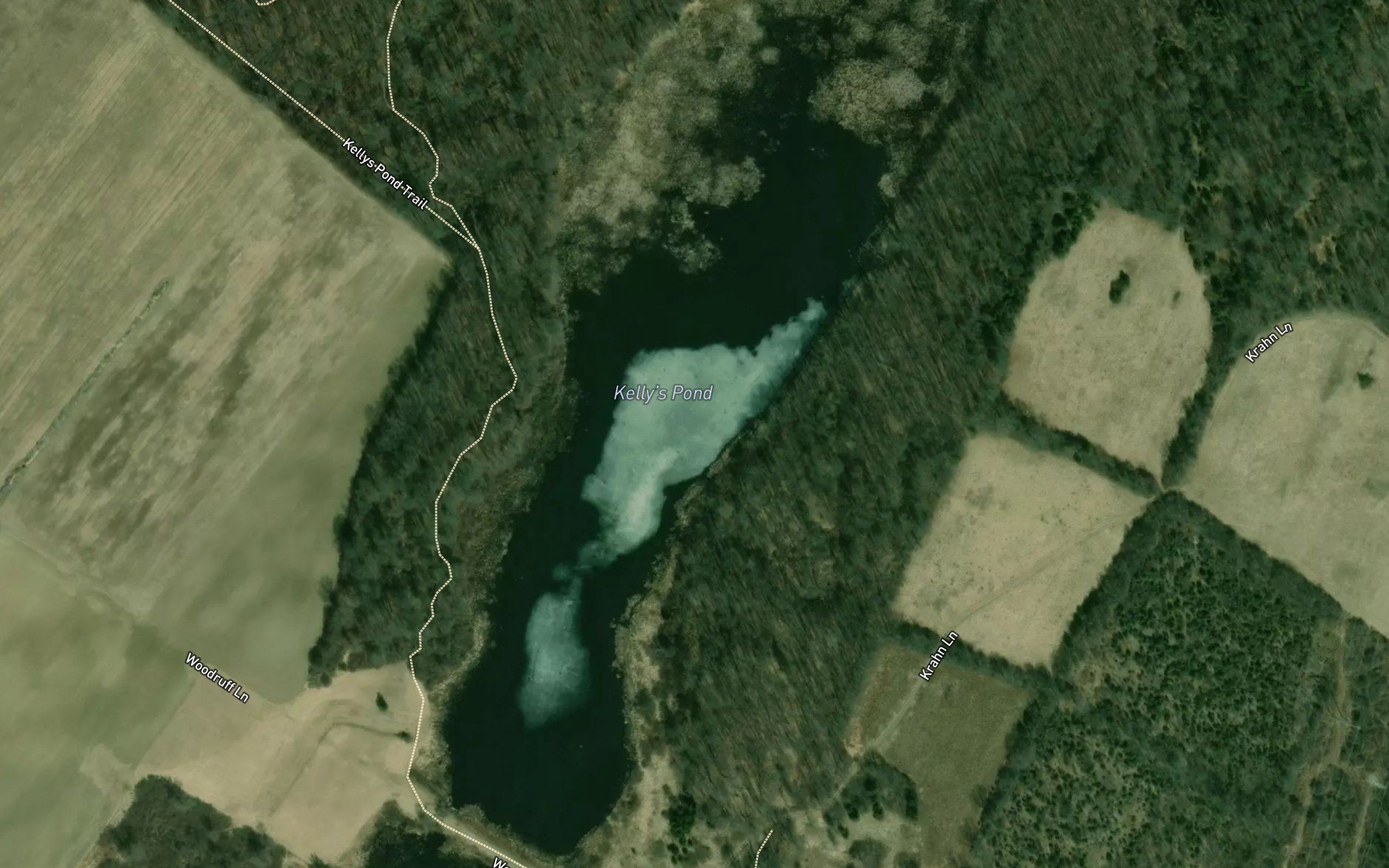 Restoration Pond