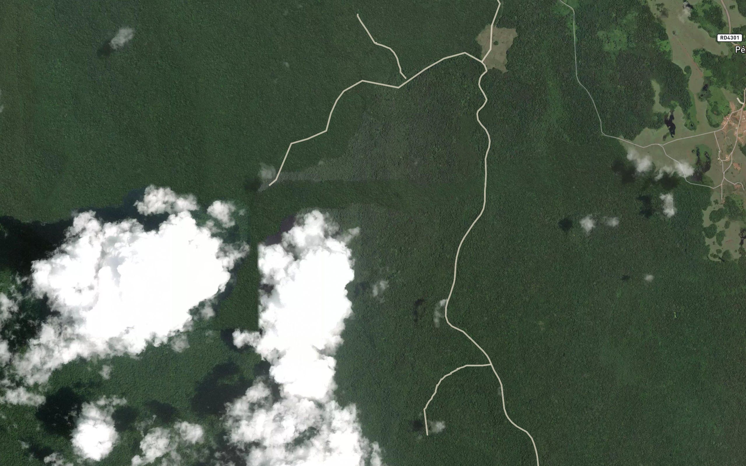 Salanganga
