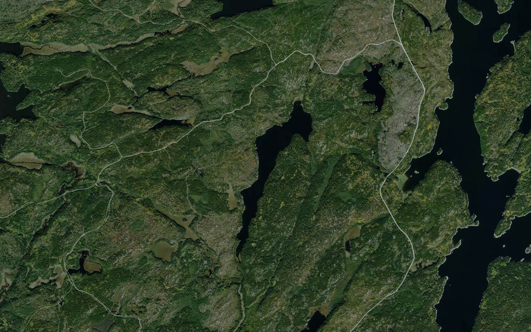 Satellite map of the Lowe Lake