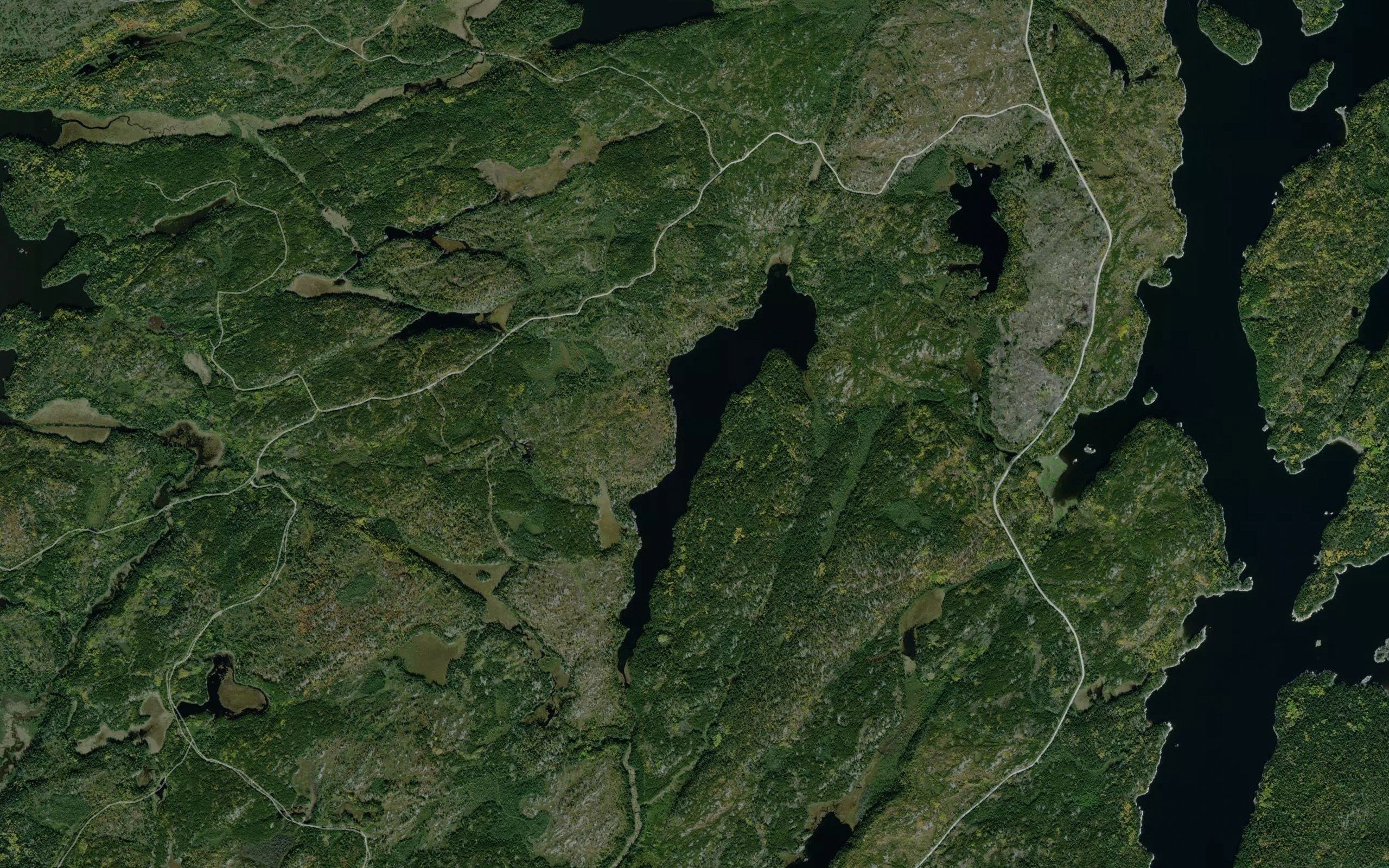 Lowe Lake