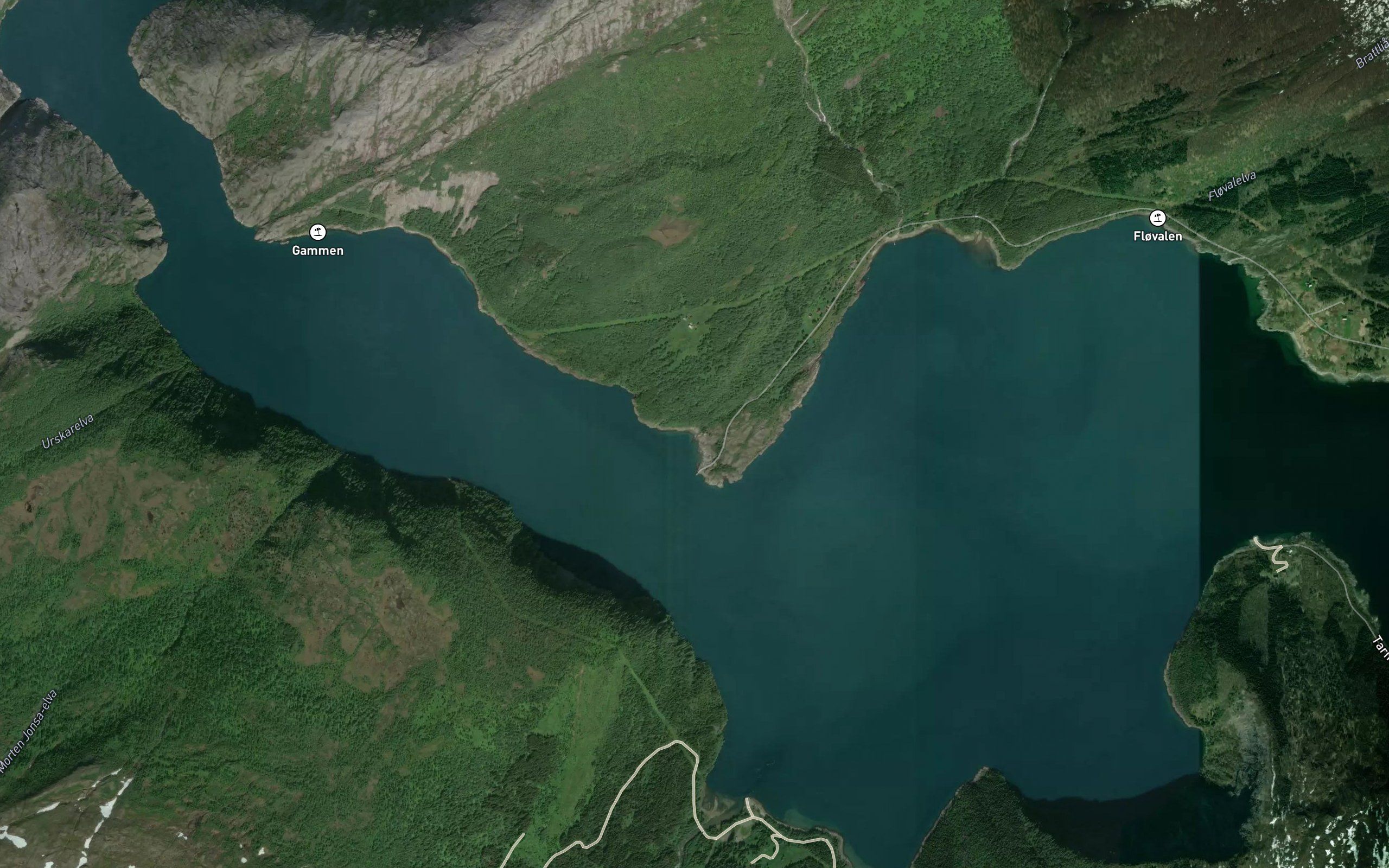 Naustvika