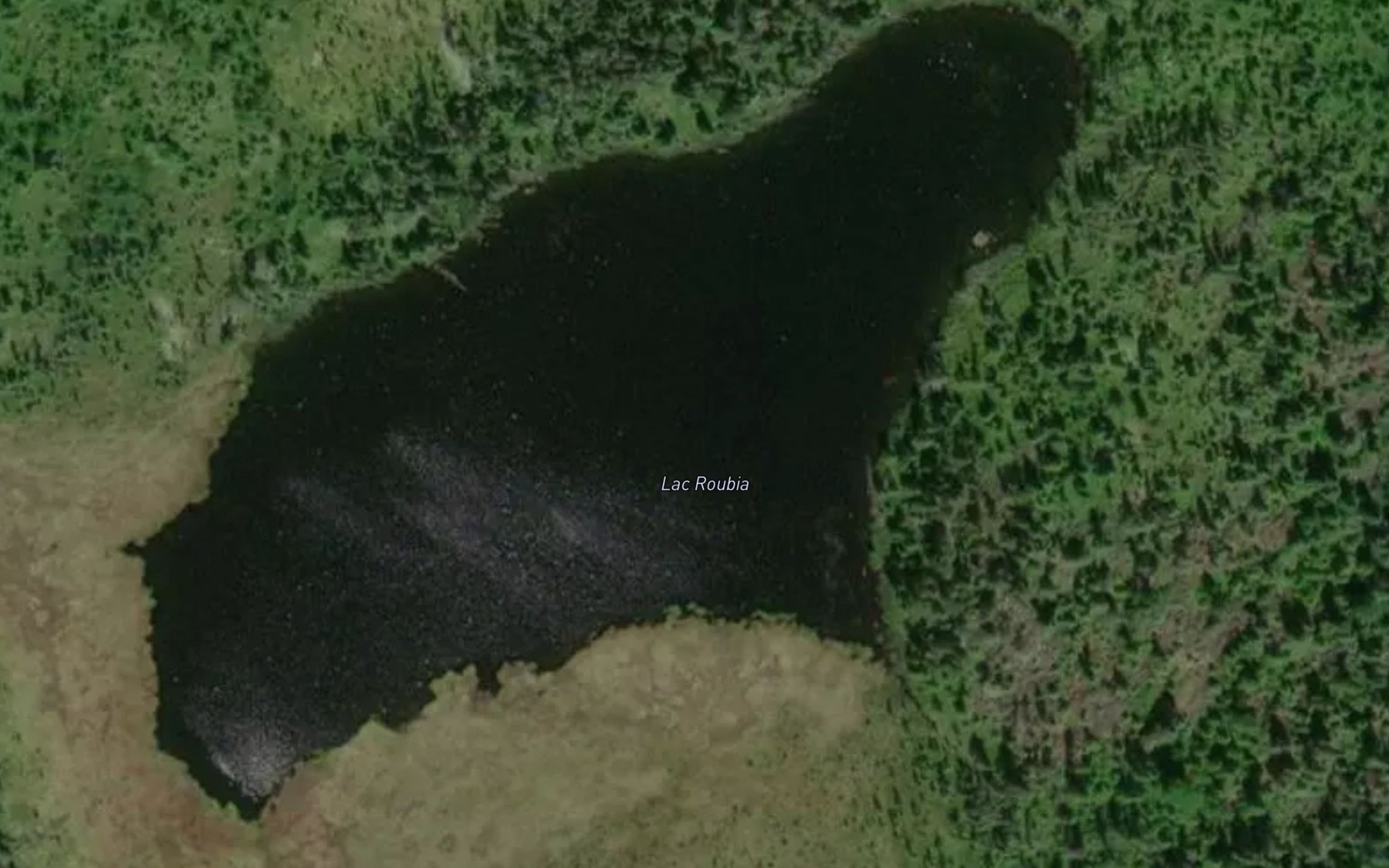 Satellite map of the Lac Roubia