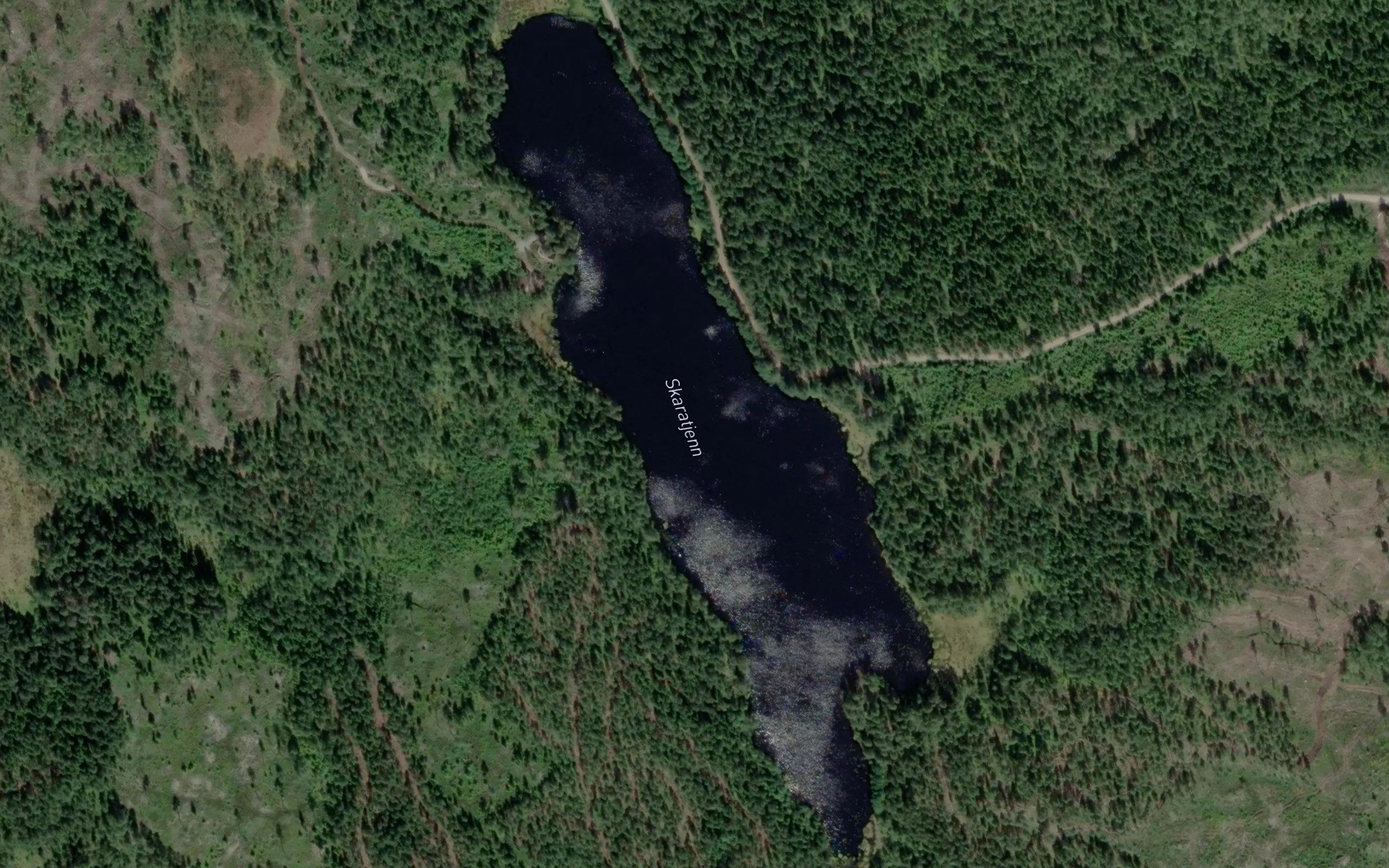 Skaratjern