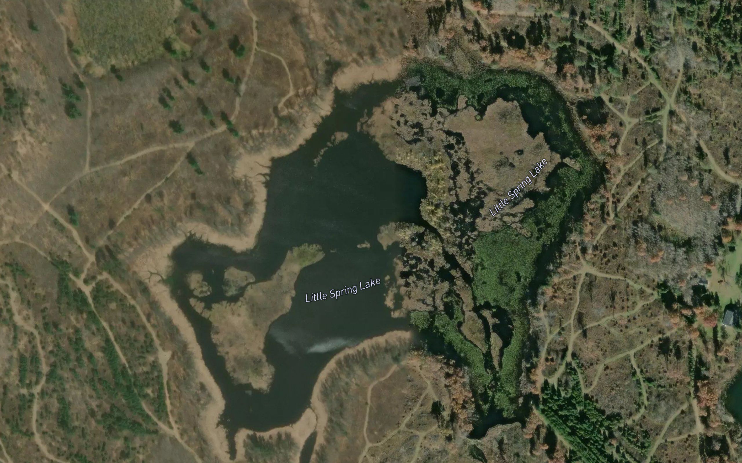 Little Spring Lake