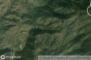 California Nutmeg Spring