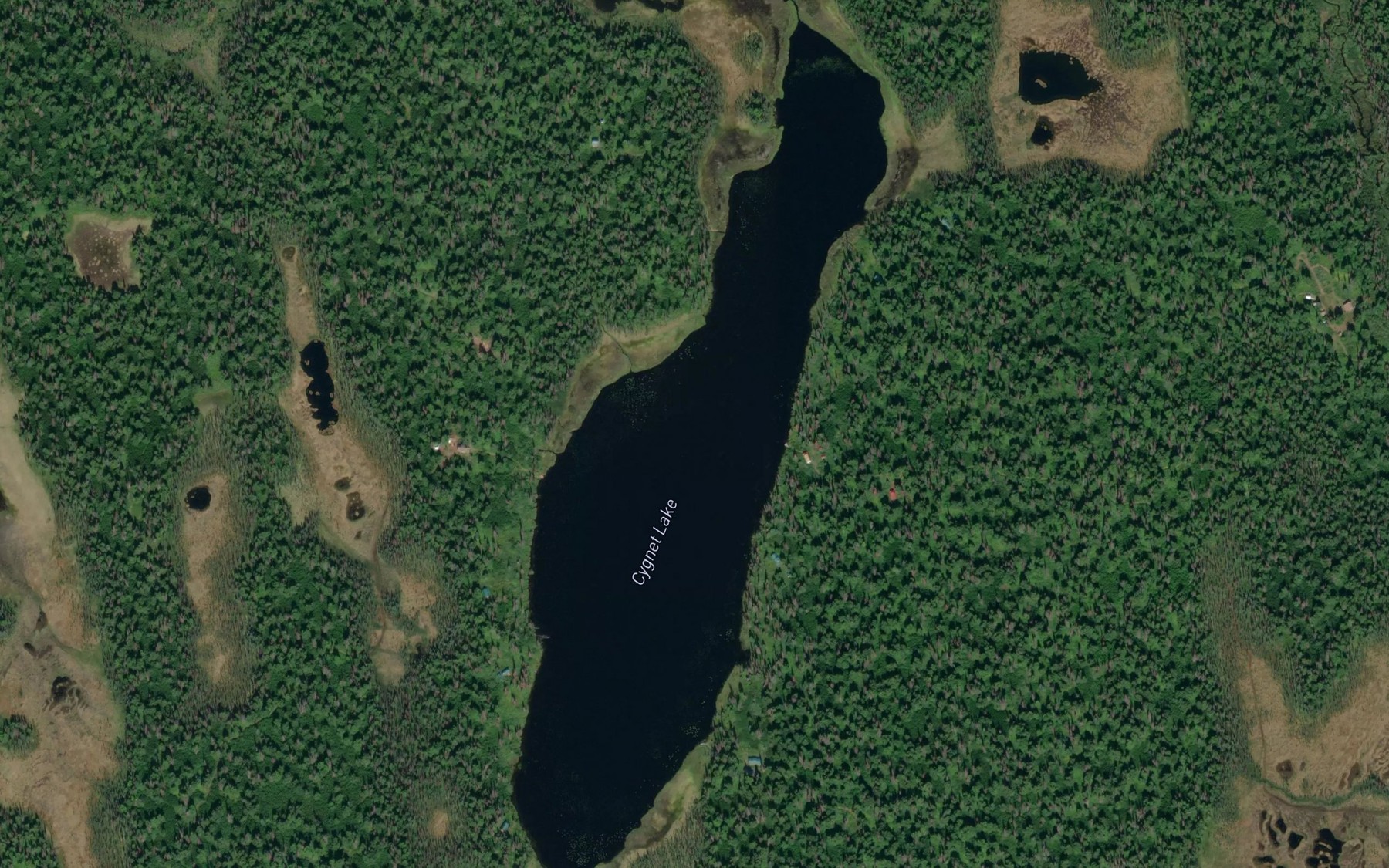 Satellite map of the Cygnet Lake