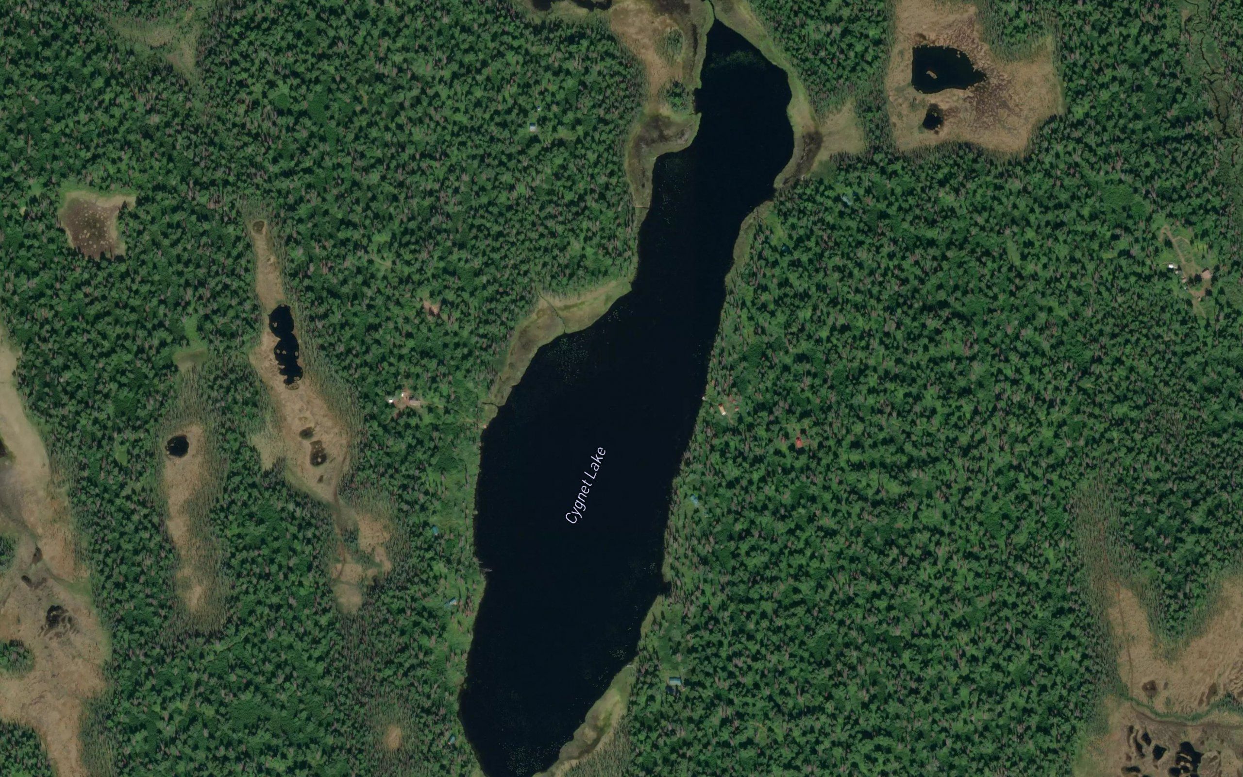 Cygnet Lake