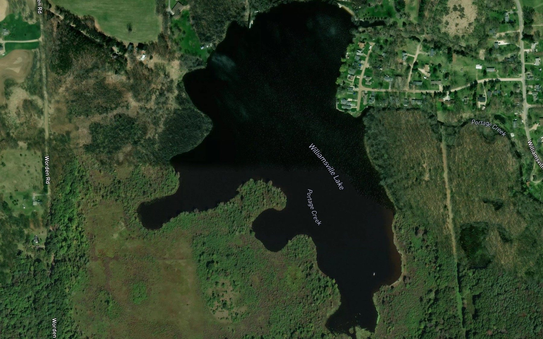 Satellite map of the Williamsville Lake