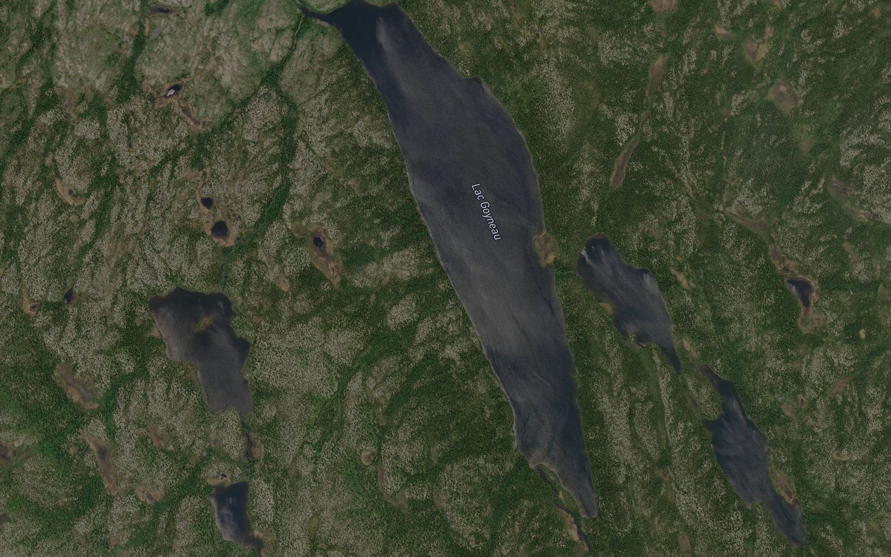 Satellite map of the Lac Goyneau