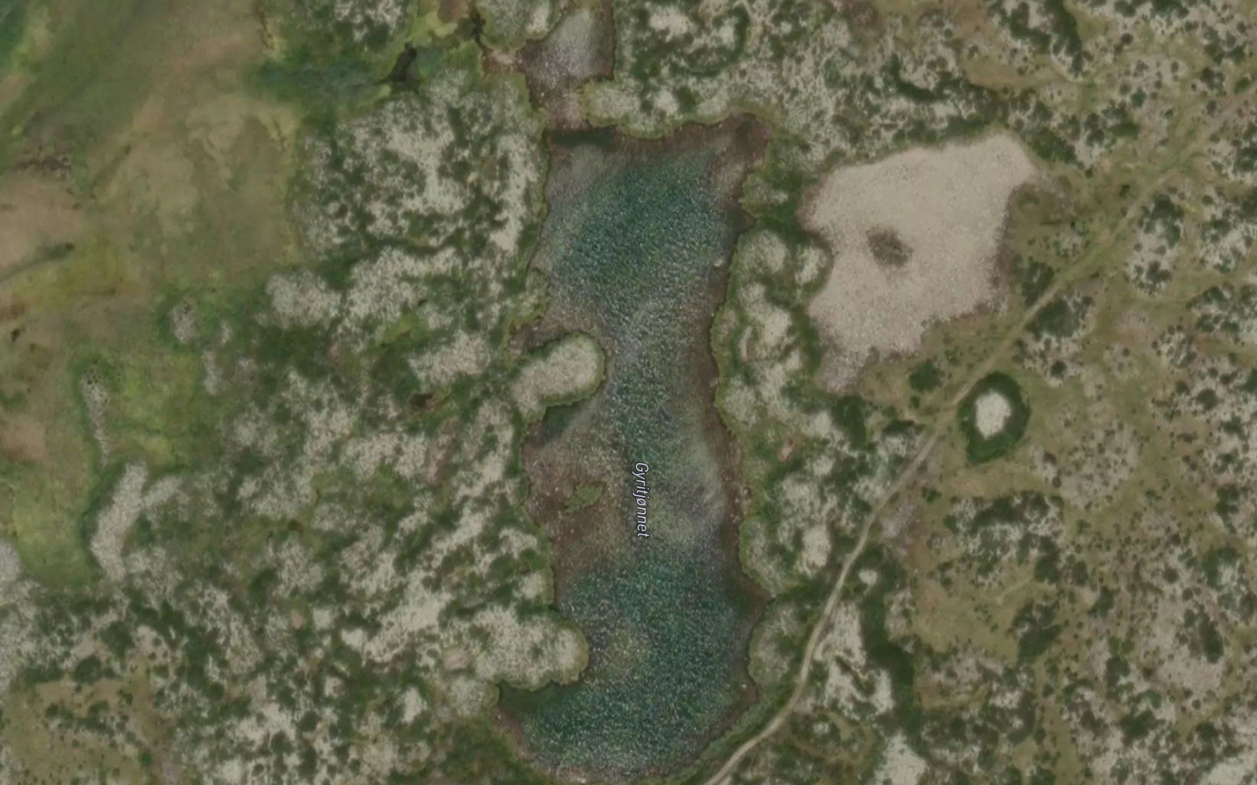 Gyritjornet