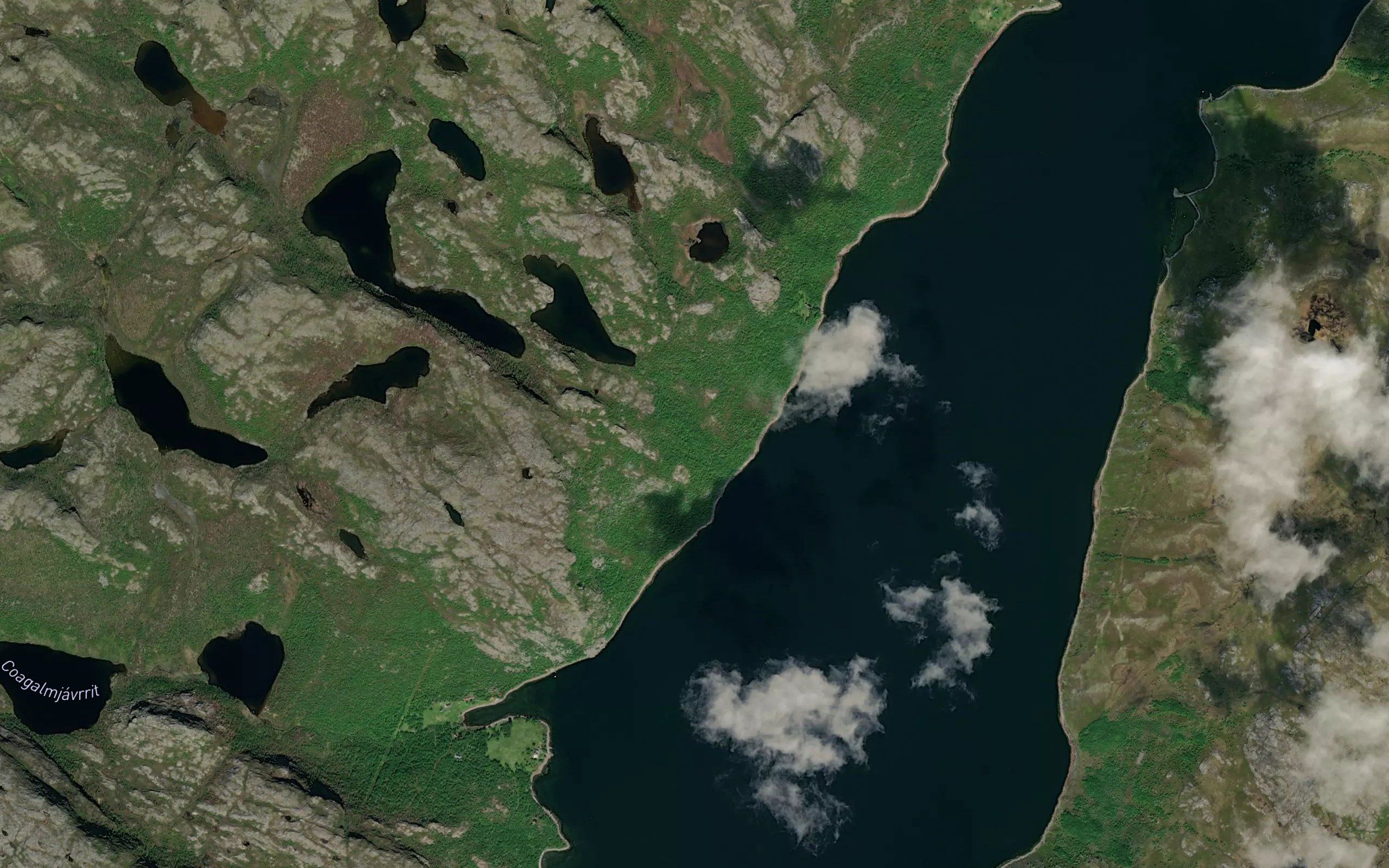 Rasijoki