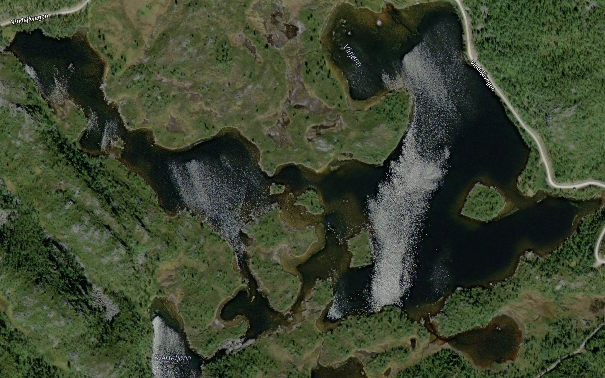 Vatjorn